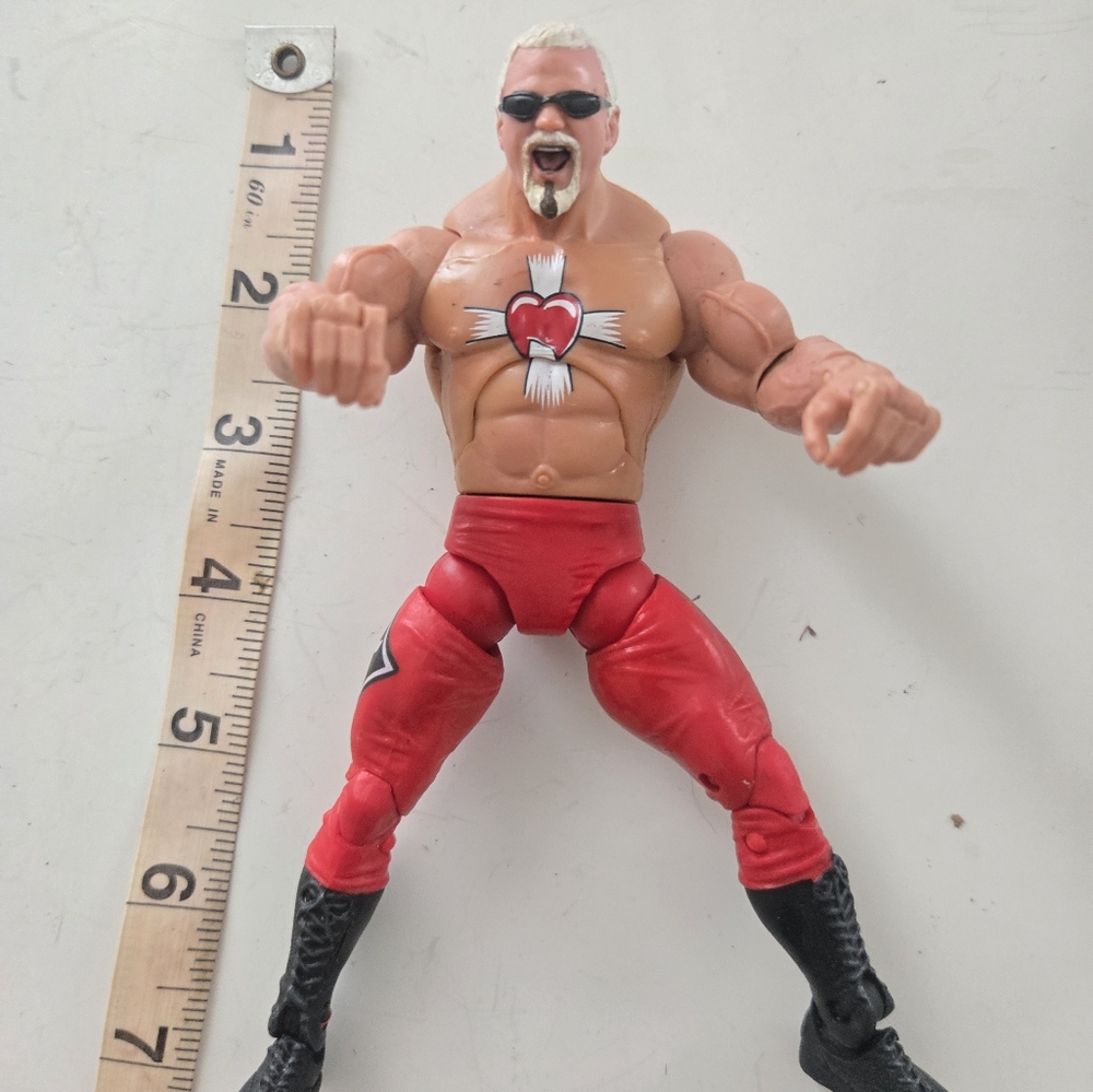 WWE SCOTT STEINER
